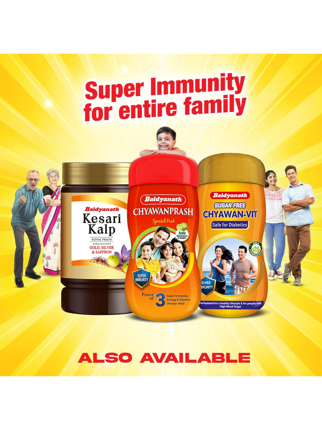 Baidyanath Chyawanprash Paste (500 gm)