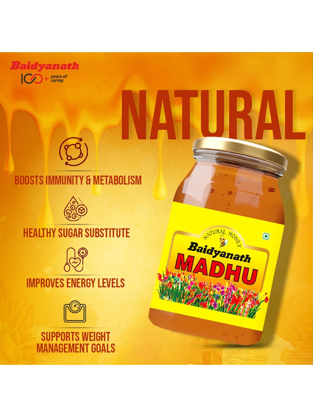Baidyanath Madhu Honey (500 gm)
