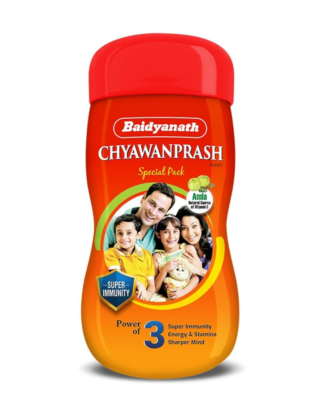 Baidyanath Chyawanprash Paste 500 gm