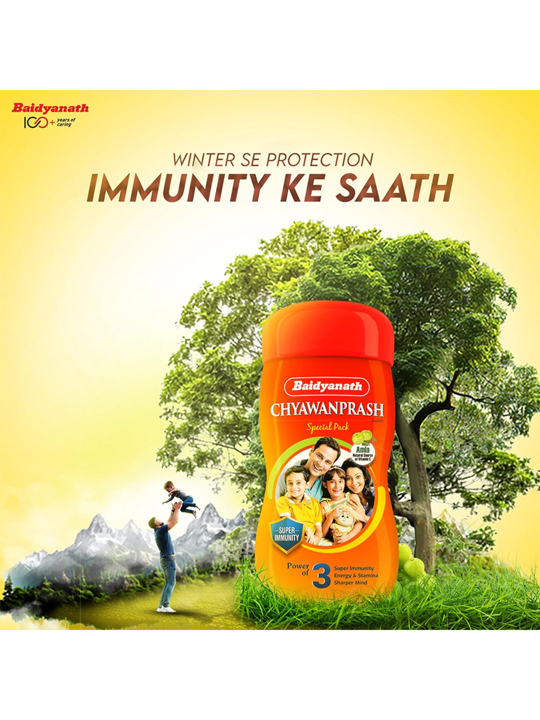 Baidyanath Chyawanprash Paste 500 gm