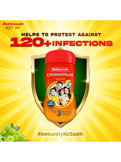Baidyanath Chyawanprash Paste 500 gm