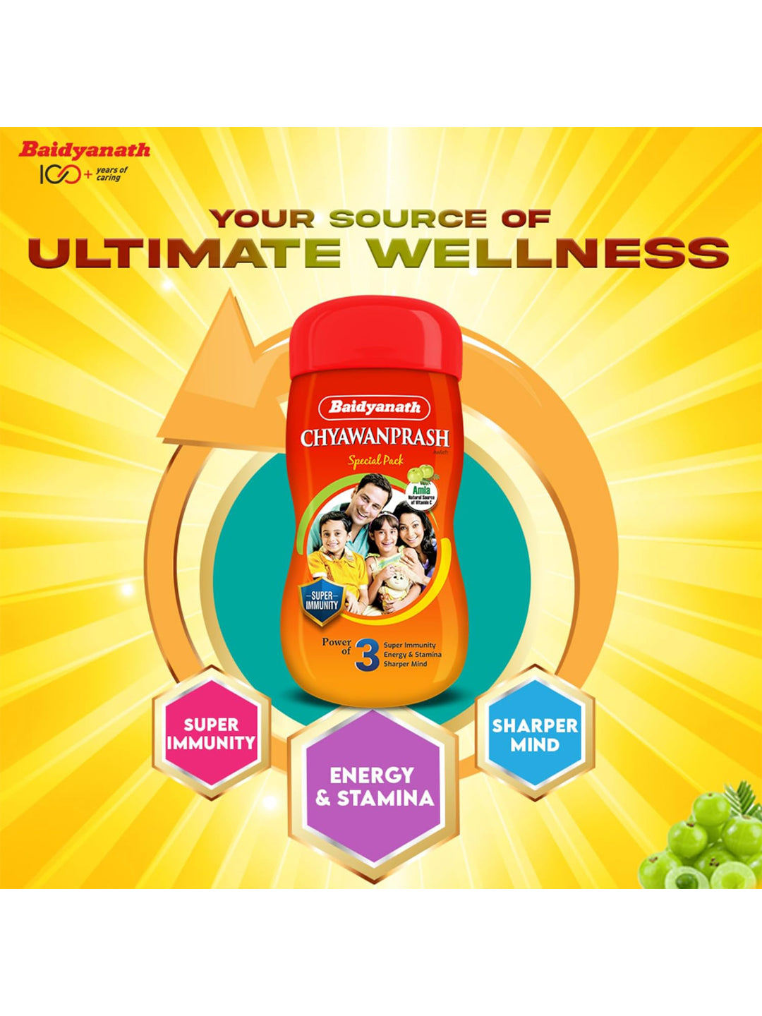 Baidyanath Chyawanprash Paste 500 gm