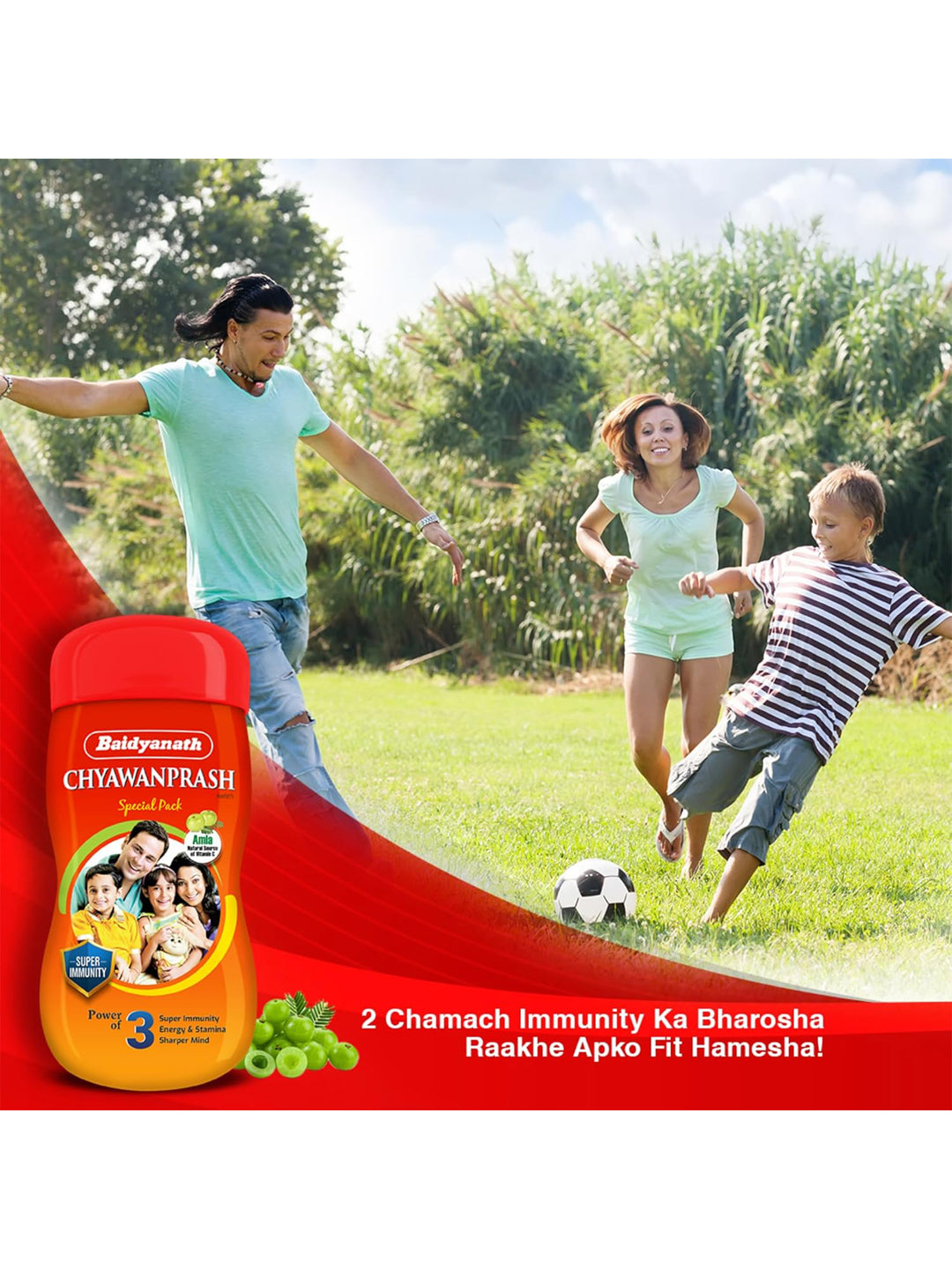 Baidyanath Chyawanprash Paste (500 gm)