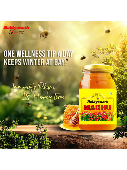 Baidyanath Madhu Honey (500 gm)