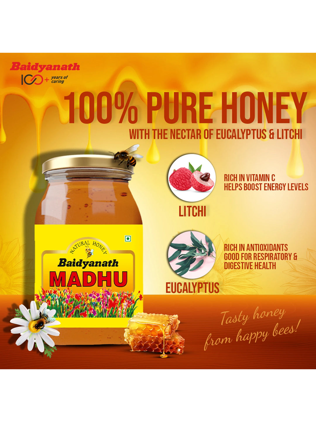 Baidyanath Madhu Honey (500 gm)