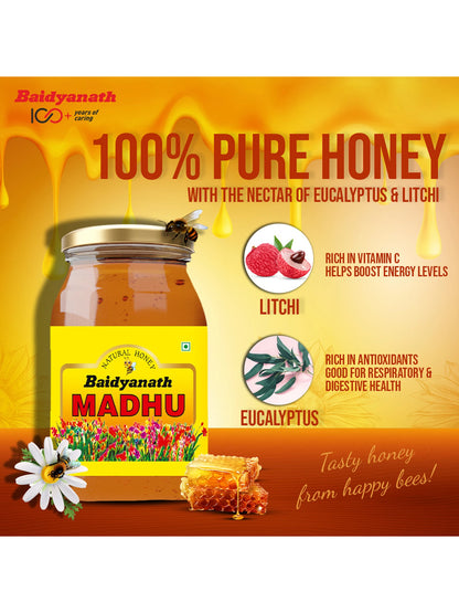 Baidyanath Madhu Honey (500 gm)