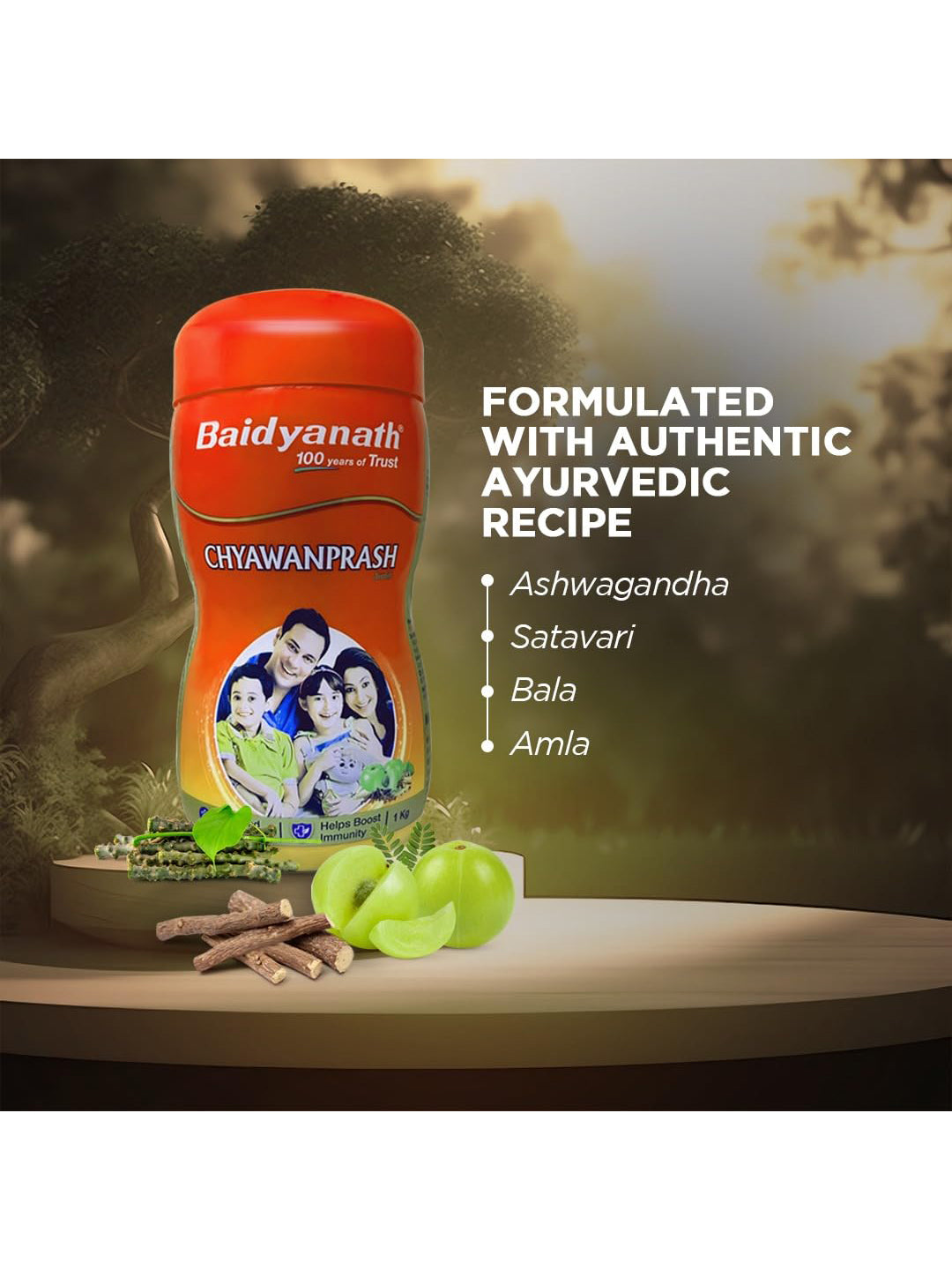 Baidyanath Chyawanprash Paste 1 kg