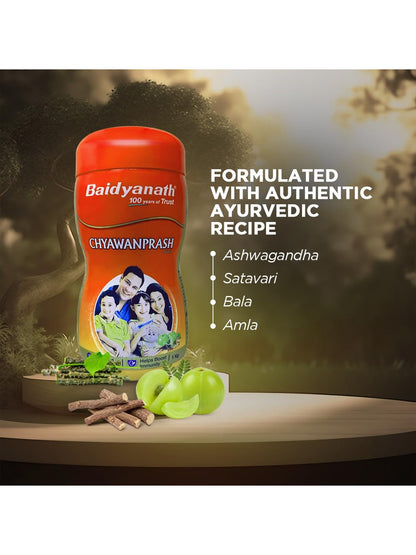 Baidyanath Chyawanprash Paste 1 kg