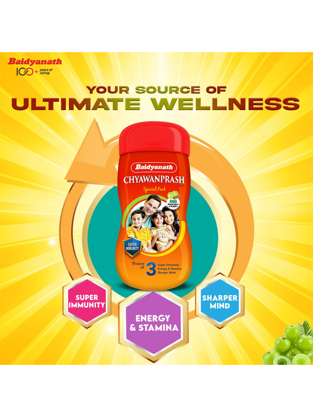 Baidyanath Chyawanprash Paste 250 gm
