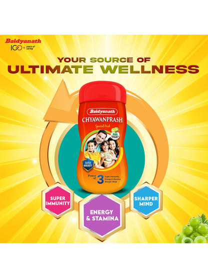 Baidyanath Chyawanprash Paste 250 gm