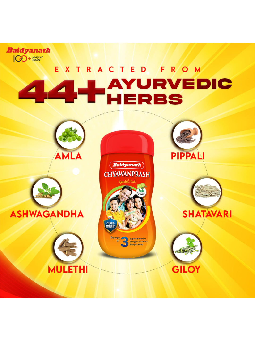 Baidyanath Chyawanprash Paste 250 gm