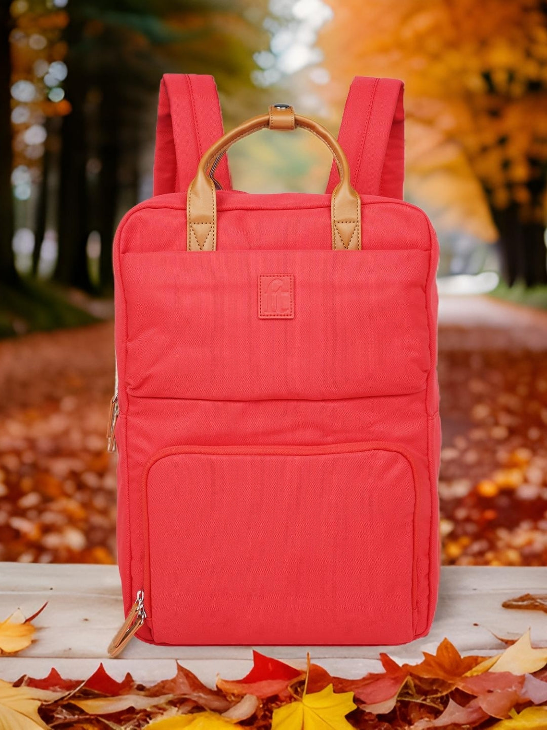 Frequent Traveller Backpack