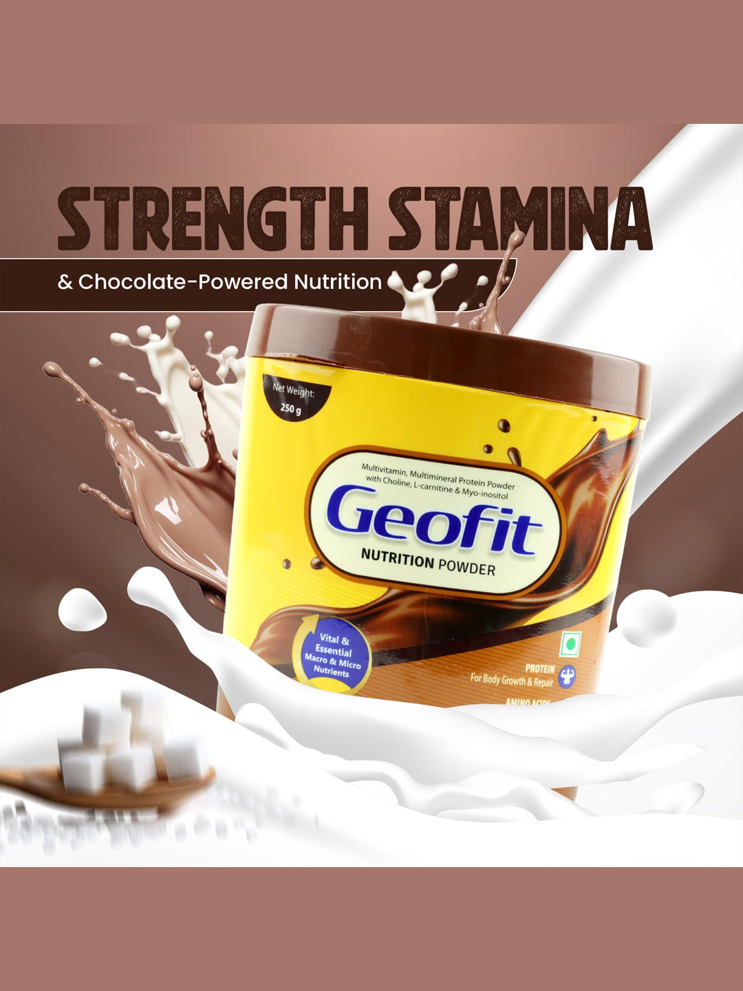 Leeford Geofit Protein Powder Chocolate 250 gm