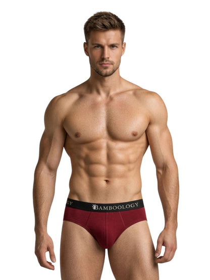 Bamboology Frenchie Fit Underwear Pack of 2