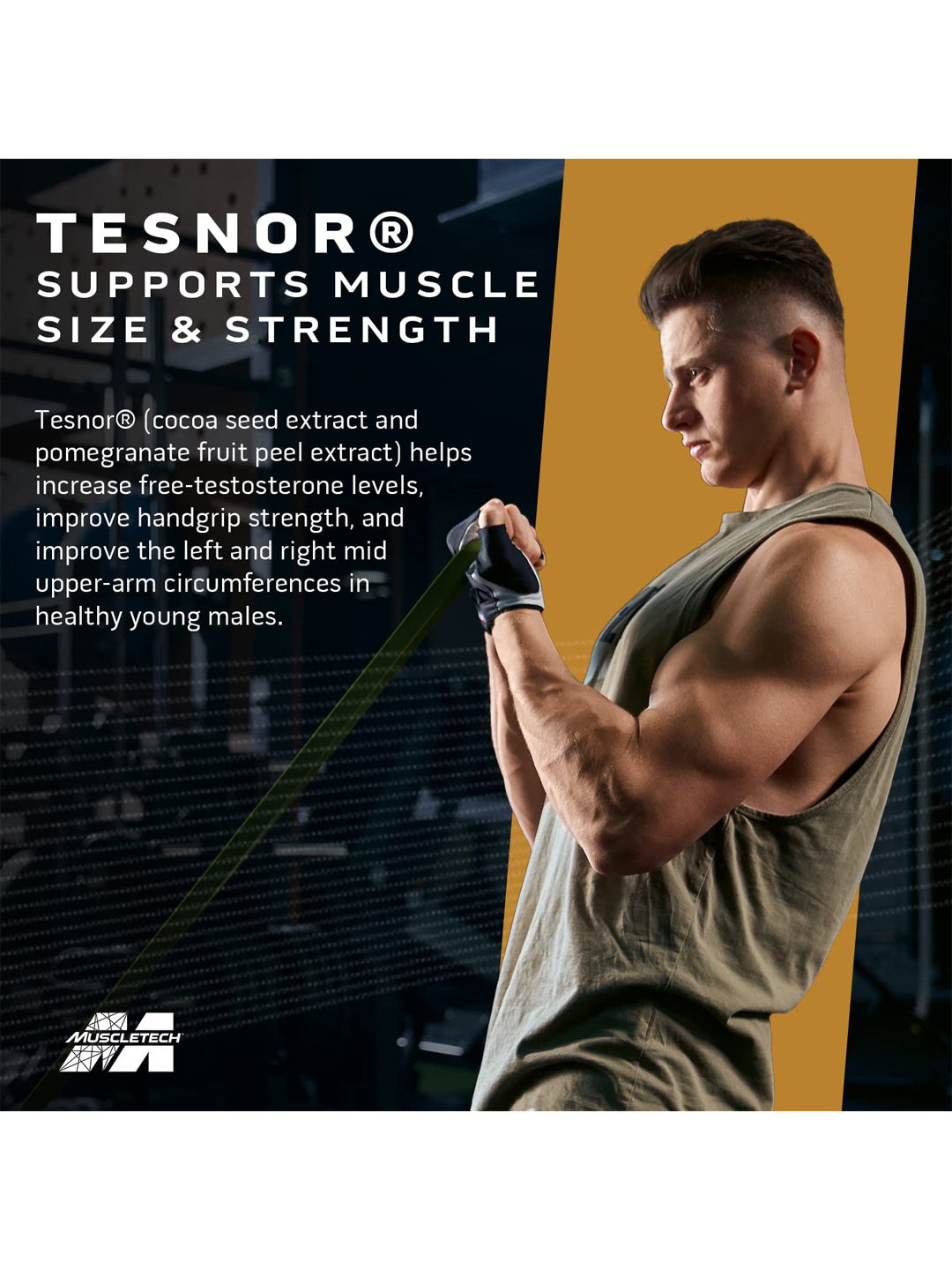 Muscletech Test HD Elite Testosterone Support Capsules 60 Capsules