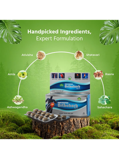 Orthoherb Ayurvedic Tablets 60