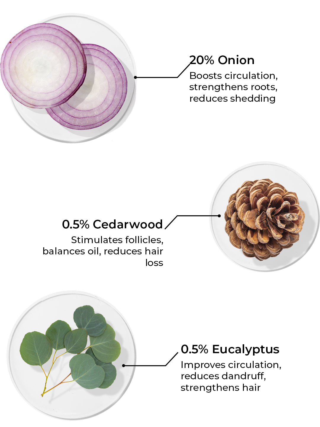 Brillare Onion Oil For Hair Fall Reduction (100ml)