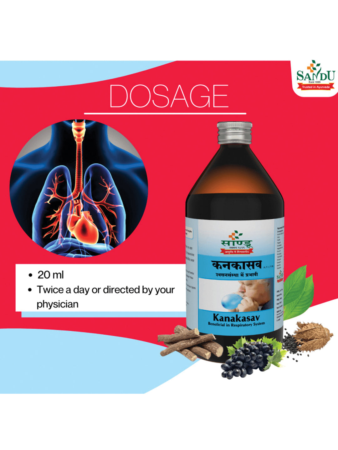 Sandu Kankasav Syrup (200 ml)