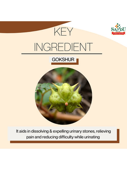 Sandu Gokshur Kadha Liquid (450 ml)